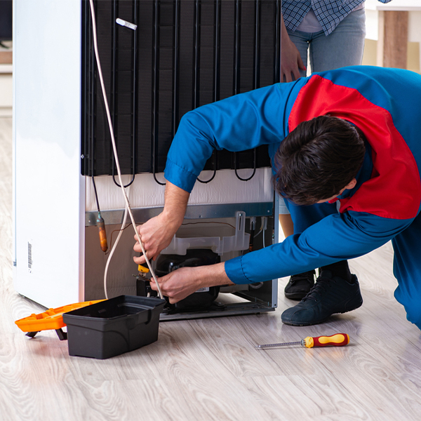 what are the common refrigerator repair services in Linkwood MD